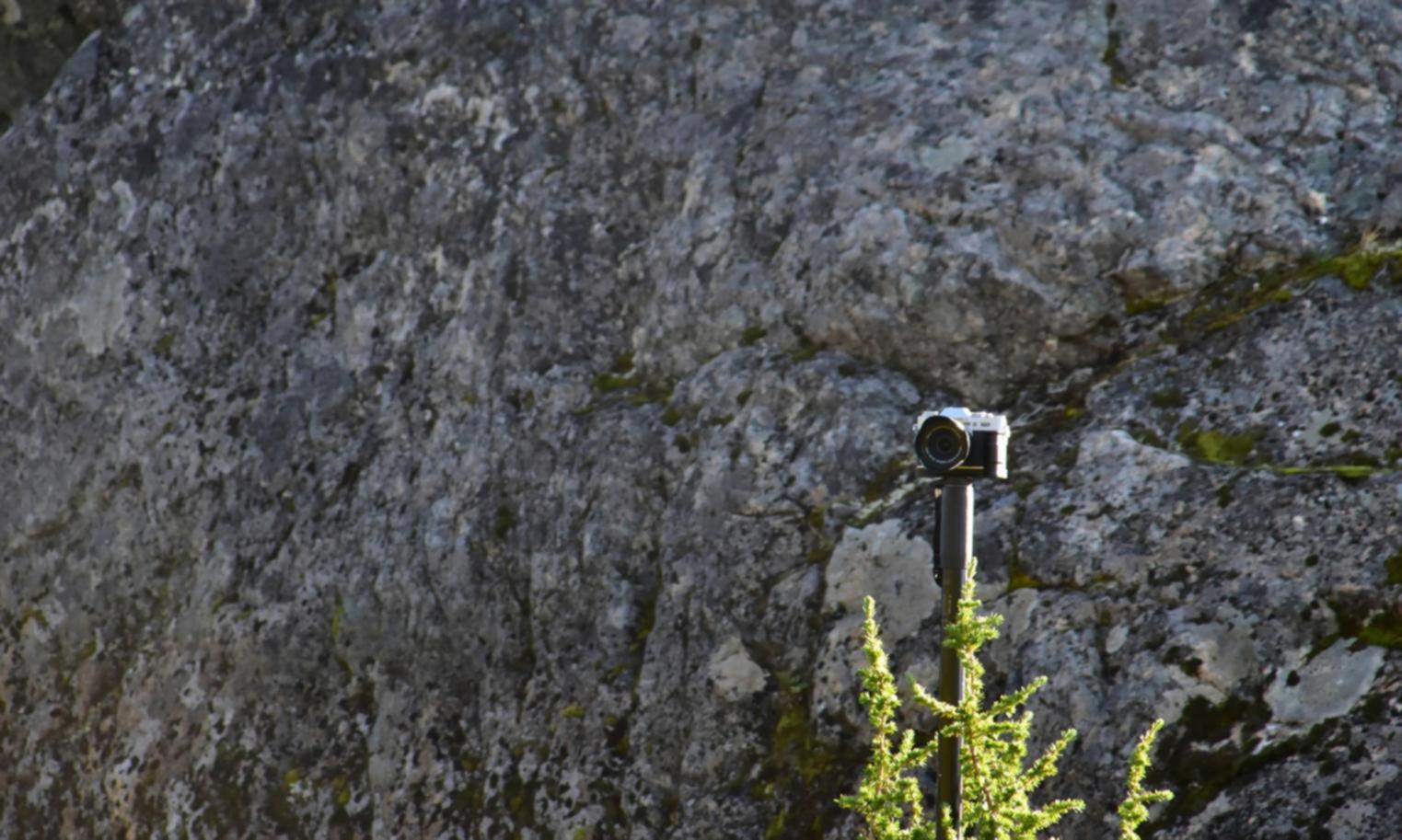 Freezing Motion Fundamentals